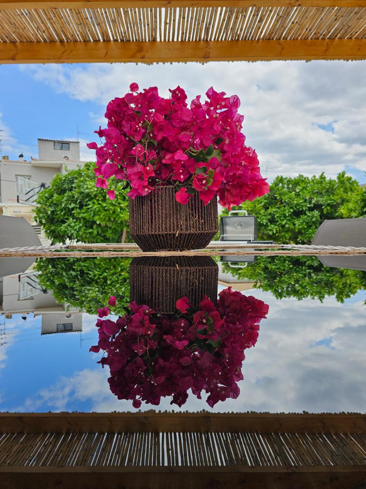 Rafaelia Premium With Private Pool In *